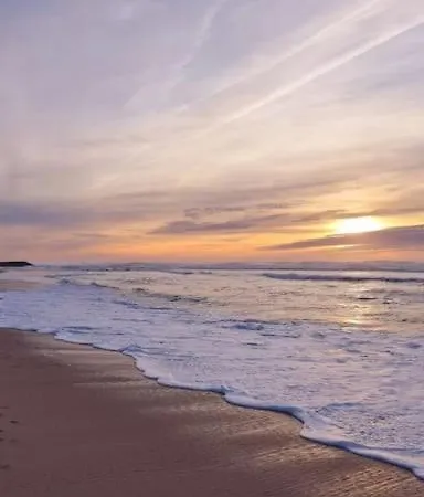 Bohemian Station 아파트